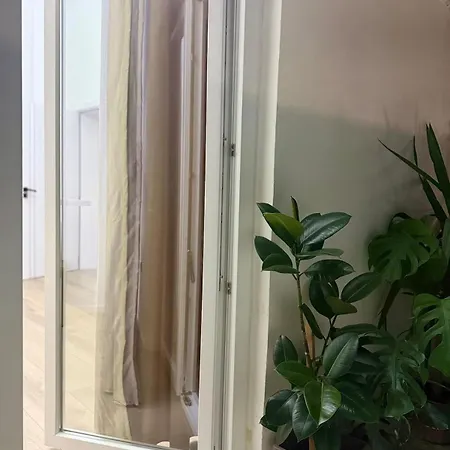 The Artist
